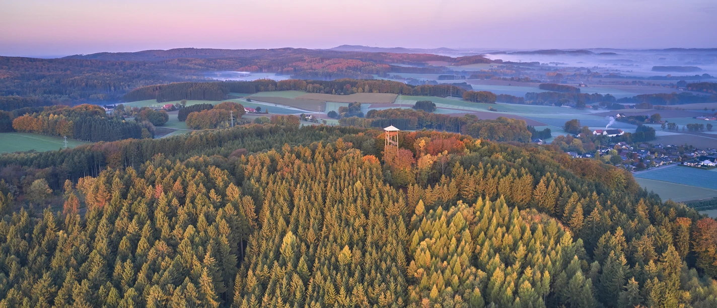 Aussicht auf den Teutoburger Wald Extensive forest in autumnal colors under a pastel sky.