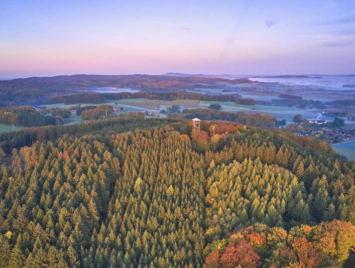 Aussicht auf den Teutoburger Wald Weitläufiger Wald in herbstlichen Farben unter pastellfarbenem Himmel.Extensive forest in autumnal colors under a pastel sky.Omfattende skov i efterårsfarver under en pastelfarvet himmel.Uitgestrekt bos in herfstkleuren onder een pastelkleurige hemel.