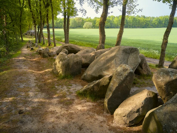 Grote, onregelmatige rotsen omzomen een natuurpad door een groen boslandschap.