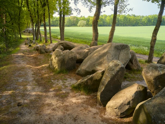Grosssteingrab in Bippen Große, unregelmäßige Felsen säumen einen Naturpfad durch eine grüne Waldlandschaft.Large, irregular rocks line a nature trail through a green forest landscape.Store, ujævne klipper danner rammen om en natursti gennem et grønt skovlandskab.Grote, onregelmatige rotsen omzomen een natuurpad door een groen boslandschap.