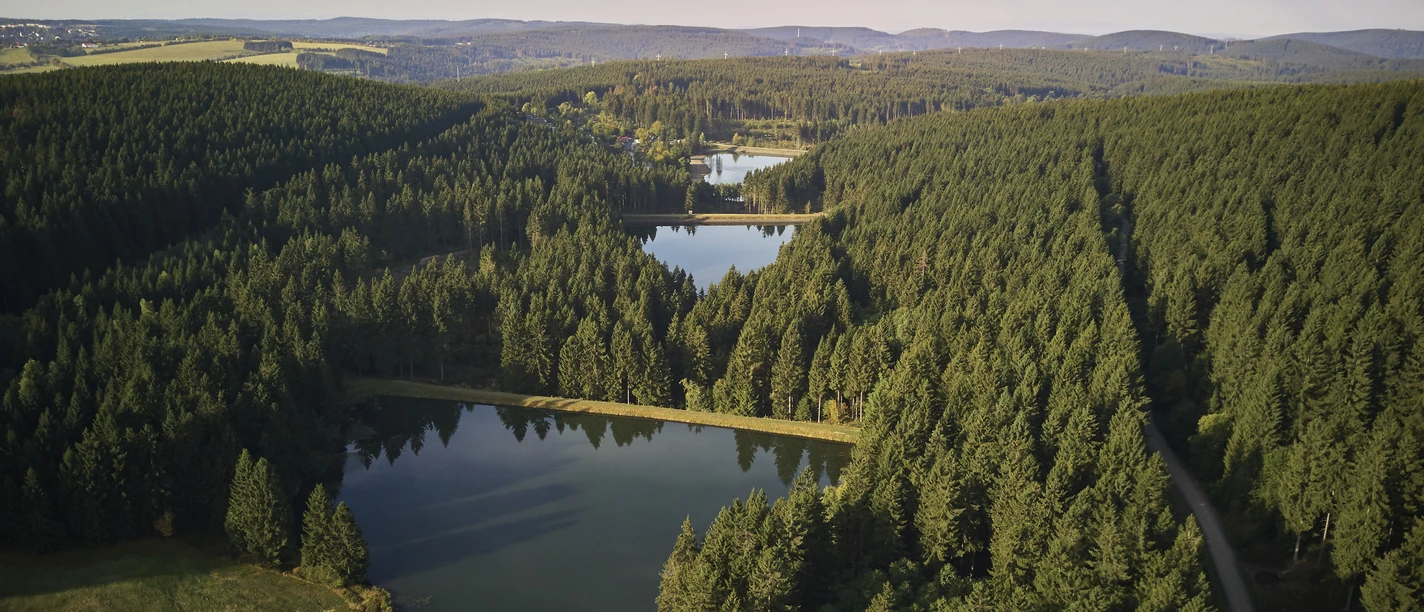 Auerhahn © Foundation World Heritage in the Harz Mountains, Photo: : S. Sobotta Welterbe im Harz