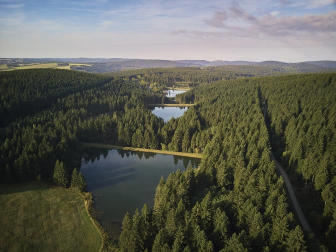 Auerhahn © Stiftung Welterbe im Harz, Foto: S. Sobotta Welterbe im Harz