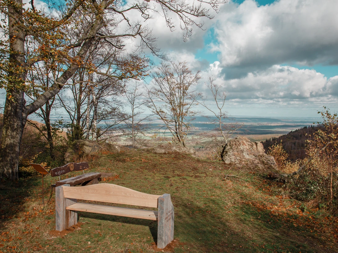Besinnungsweg Bad Harzburg Genusswandern im Harz Wanderung-Harz 12.jpg