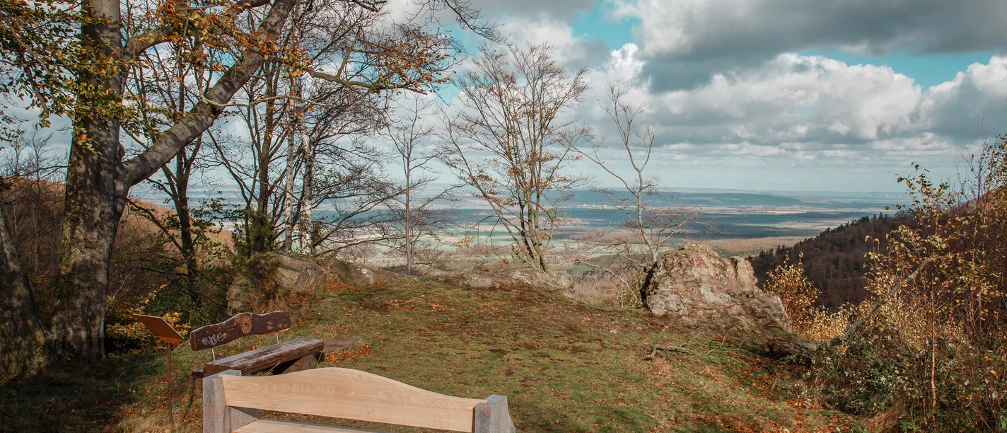 Besinnungsweg Bad Harzburg Genusswandern im Harz Wanderung-Harz 12.jpg