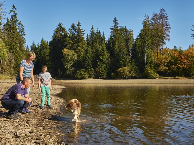 Buntenbocker Teiche © Stiftung Welterbe im Harz, Foto: S. Sobotta Welterbe im Harz