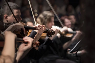 Nahaufnahme eines Sinfonieorchesters in Aktion, Geiger konzentriert beim Spielen, warme Beleuchtung.