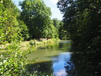 Waldsee