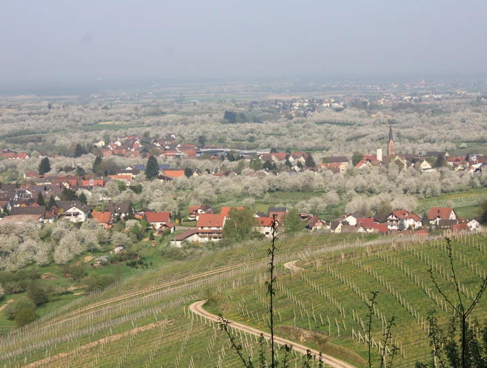 Rundblick mit Kirche