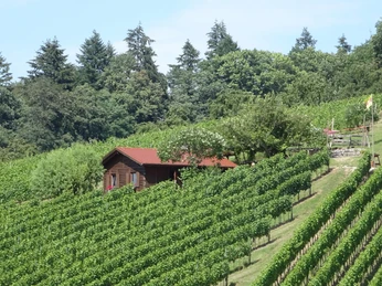 Aussichtspunkt beim Rebhuesli