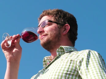 Winzer Maximilian Bohnert