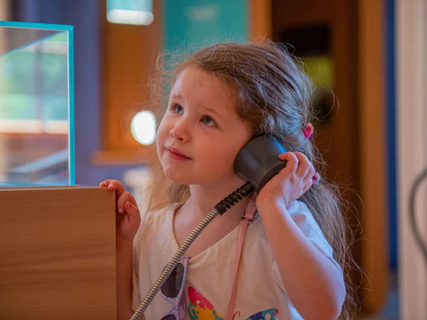 Illertissen_Bienenmuseum 17.05. 22 Hörstation Biene Maja©wto fotostudio.jpg