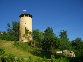 Burgruine Sommer
