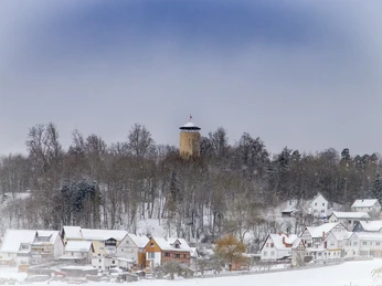 Ruine Löwenstein mit Schiffelborn