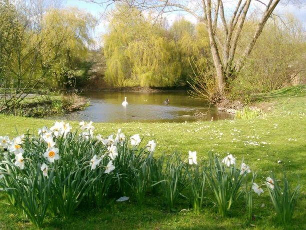 Kurpark Frühling