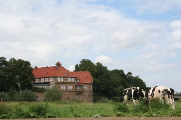 Schloss Petershagen Historisches Schloss mit rotem Ziegeldach in ländlicher Umgebung, von Kühen auf einer Wiese flankiert.