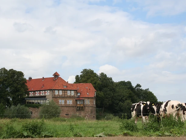 Schloss Petershagen Historisches Schloss mit rotem Ziegeldach in ländlicher Umgebung, von Kühen auf einer Wiese flankiert.