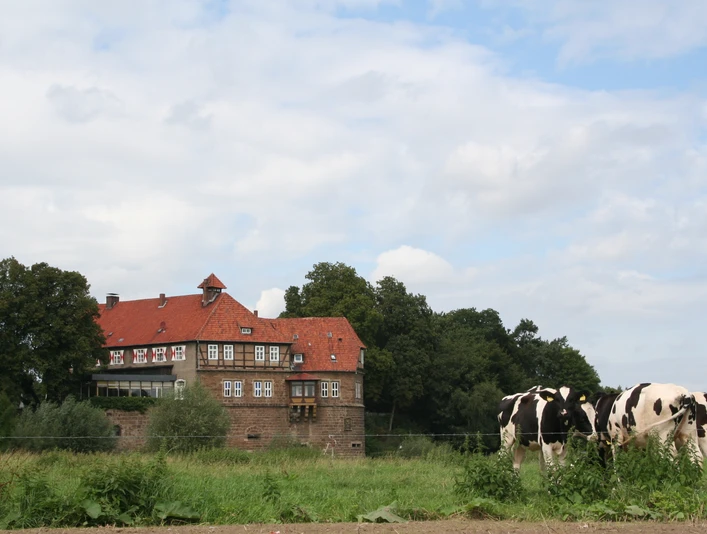 Schloss Petershagen Historisches Schloss mit rotem Ziegeldach in ländlicher Umgebung, von Kühen auf einer Wiese flankiert.