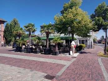Brasserie am Rathausmarkt Das Bild zeigt die Brasserie am Rathausmarkt mit grünen Markisen, umgeben von Palmen im Freien.
