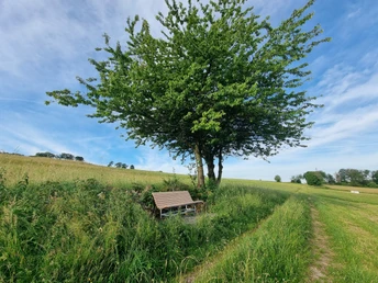 Panoramaweg Eisenberg