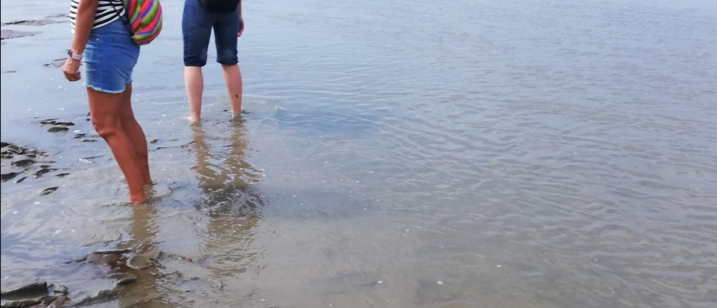 Gezeiten.jpg Einsetzende Flut