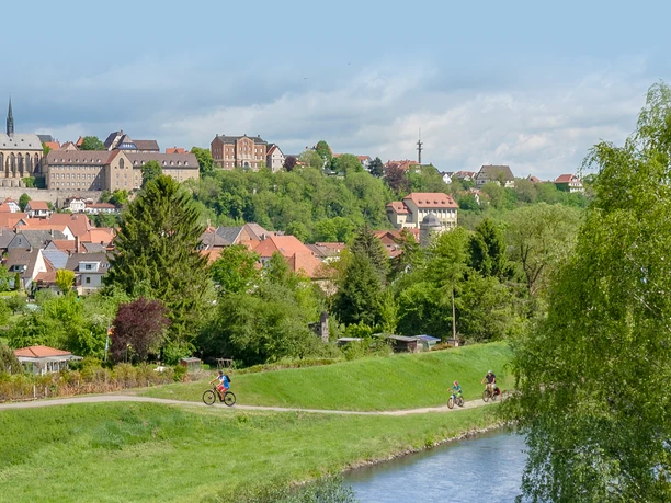 Südansicht Warburg Südansicht der Stadt Warburg mit historischen Gebäuden und Kirchtürmen, umgeben von grüner Landschaft.
