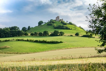 Desenberg Malerische Burgruine auf grünem Hügel, umgeben von Wiesen und Bäumen unter blauem Himmel mit Wolken.
