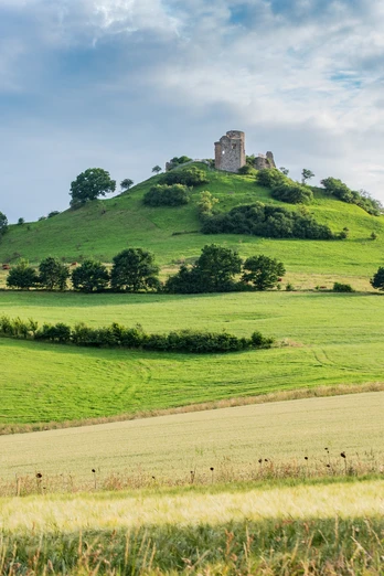 Desenberg Malerische Burgruine auf grünem Hügel, umgeben von Wiesen und Bäumen unter blauem Himmel mit Wolken.