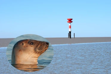Leuchtturm.jpg