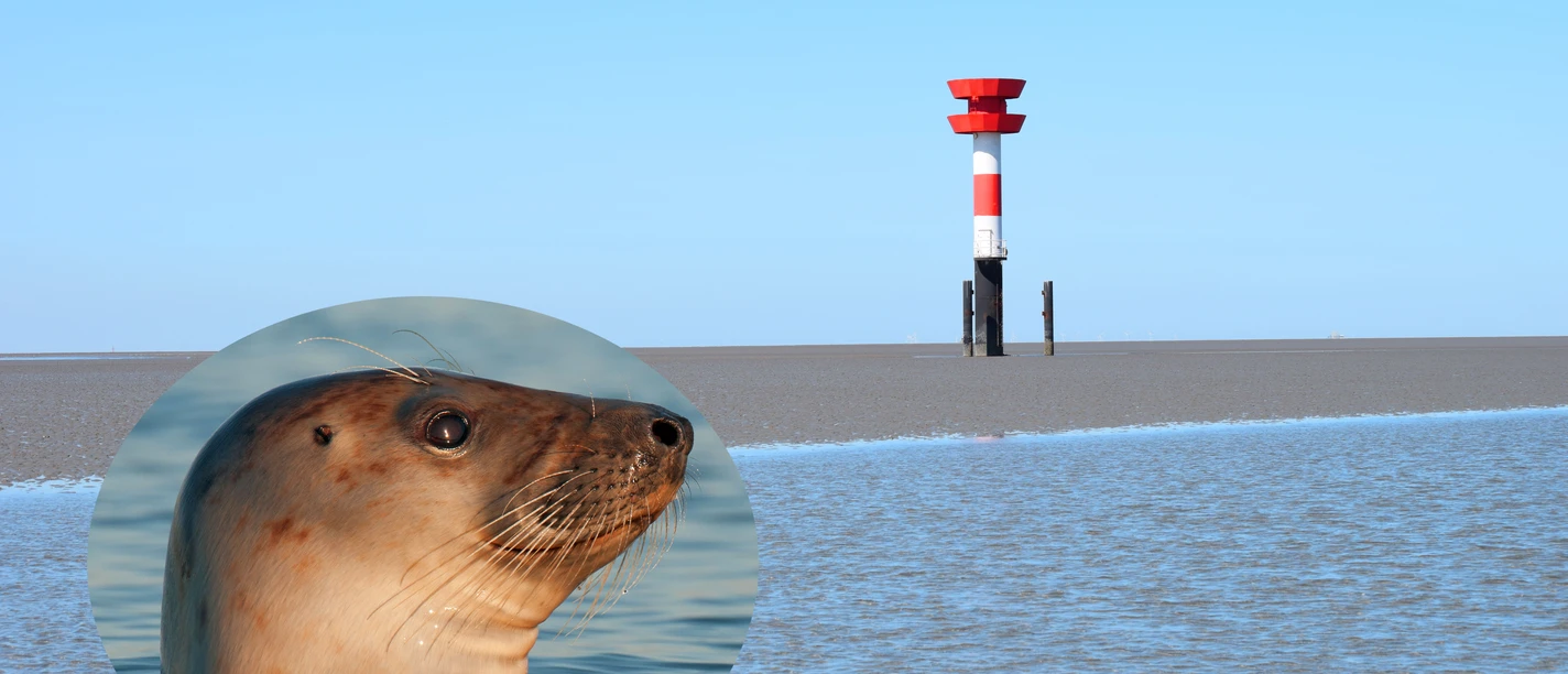 Leuchtturm.jpg