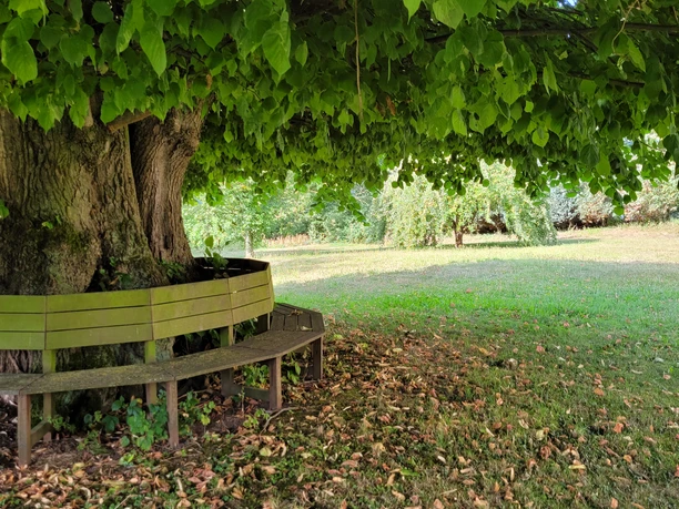 Rastplatz unter Linde Vahlberg 1.jpg