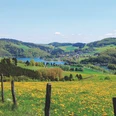 Panoramablick auf den Diemelsee, umgeben von sanften Hügeln und blühenden Wiesen im Vordergrund.
