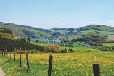Blick auf den Diemelsee Panoramablick auf den Diemelsee, umgeben von sanften Hügeln und blühenden Wiesen im Vordergrund.