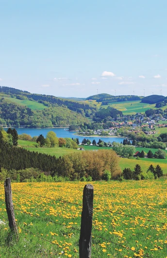 Blick auf den Diemelsee Panoramablick auf den Diemelsee, umgeben von sanften Hügeln und blühenden Wiesen im Vordergrund.