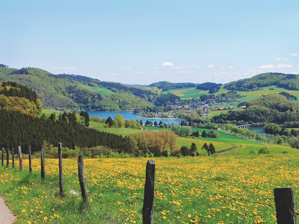Blick auf den Diemelsee Panoramablick auf den Diemelsee, umgeben von sanften Hügeln und blühenden Wiesen im Vordergrund.