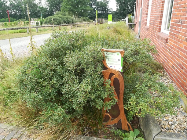 Hörstation "MoorIZ"