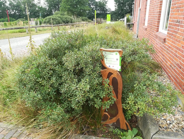 Hörstation "MoorIZ"