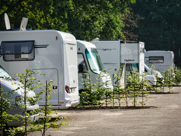 Stellplatz am Waldbad Mehrere weiße Wohnmobile parken in einer Reihe auf einem sonnigen Stellplatz am Waldrand.
