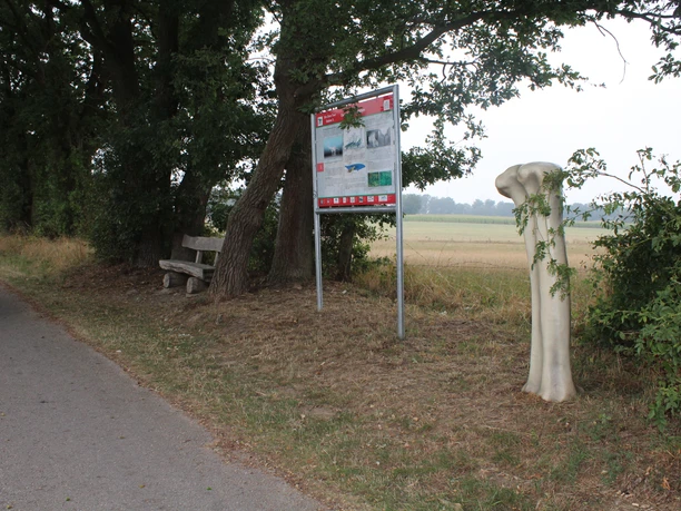 Dino tour information board next to a shady path with a bench and fossil bone in the grass.