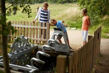 Löwenzahn Wasserstation Löwenzahn Wasserstation
