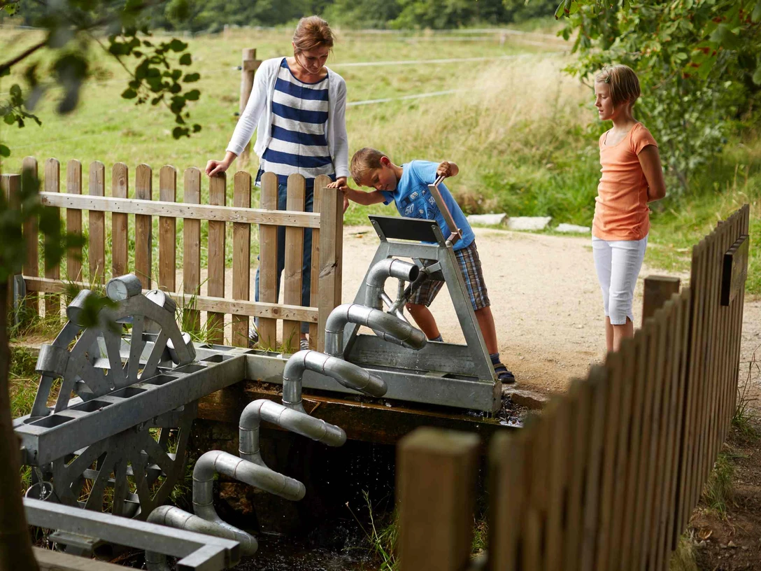 Löwenzahn Wasserstation Löwenzahn Wasserstation