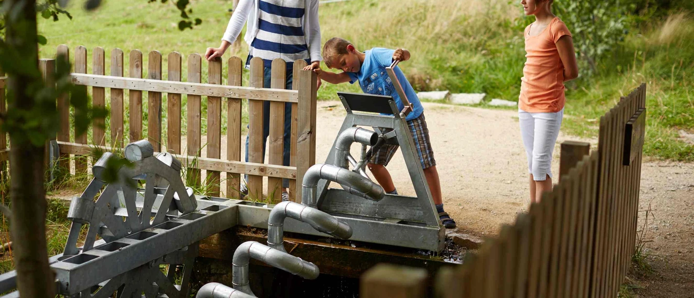 Löwenzahn Wasserstation Löwenzahn Wasserstation