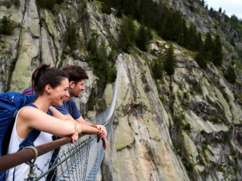 Haengebrücken Aletsch-Goms Haengebrücken Aletsch-Goms