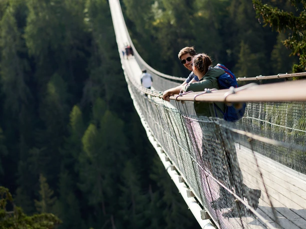 haengebruecke-goms-bridge-sommer-aletsch-arena-4.jpeg