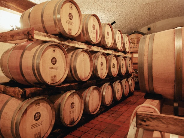 Weinprobe 2