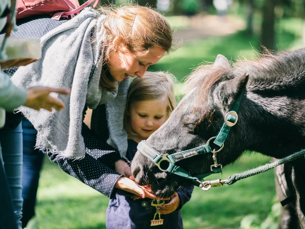 naturerlebnistag-pferde-maedchen-e-gross-npz.jpg Pferde-Füttern im Uhlenkolk