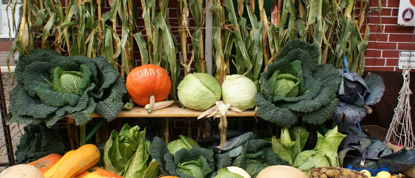 Erntefest_Aurich_1 Erntefest_Aurich_1