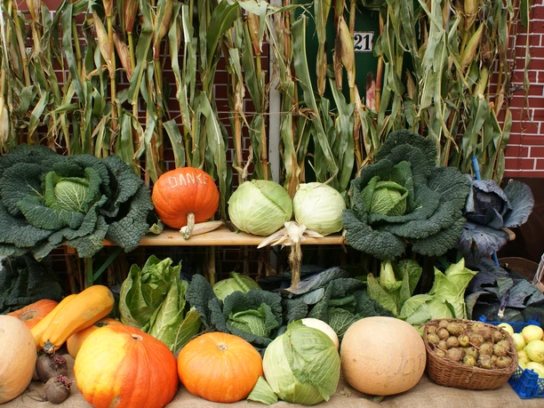 Erntefest_Aurich_1 Erntefest_Aurich_1