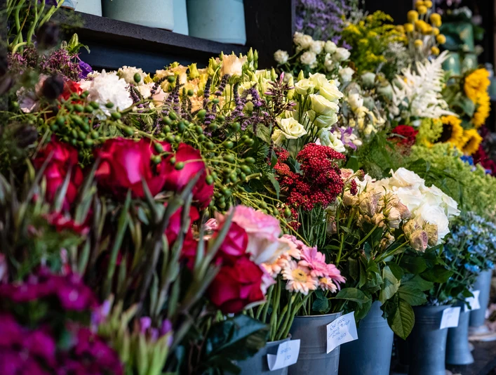 blumenmeer-juist.jpg blumenmeer-juist