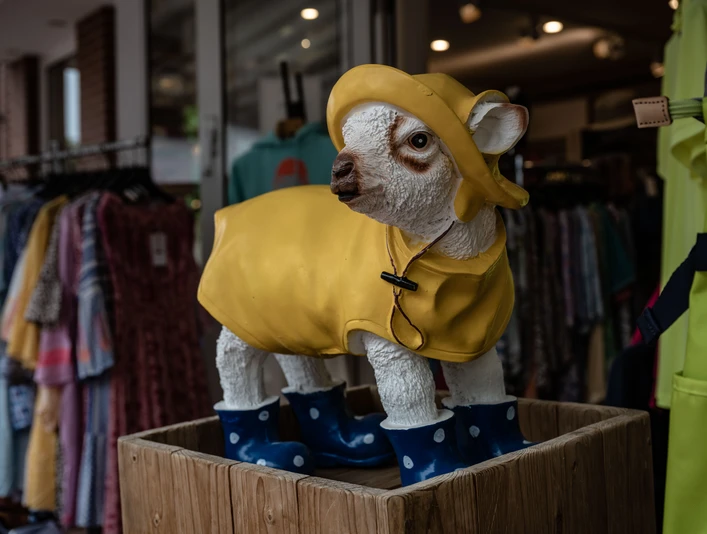 Hoffmann-Moden-Juist