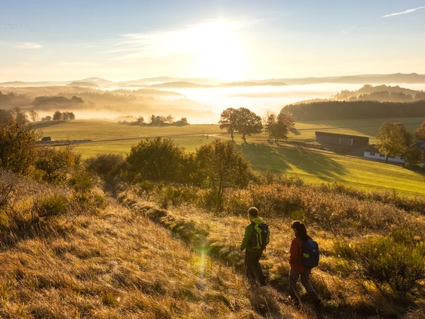 Wandern in den Sonnenaufgang am Eifelsteig, Rother Kopf